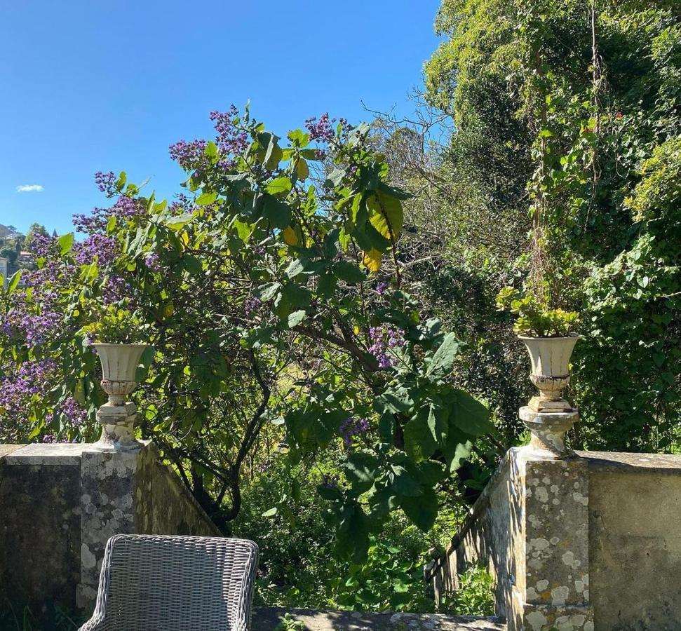 מלון Casa Holstein Quinta De Sao Sebastiao סינטרה מראה חיצוני תמונה