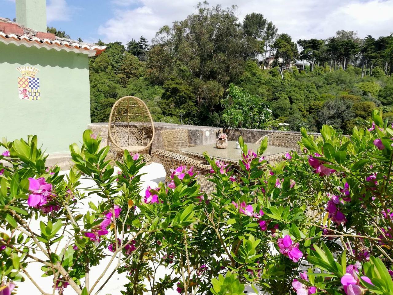 מלון Casa Holstein Quinta De Sao Sebastiao סינטרה מראה חיצוני תמונה